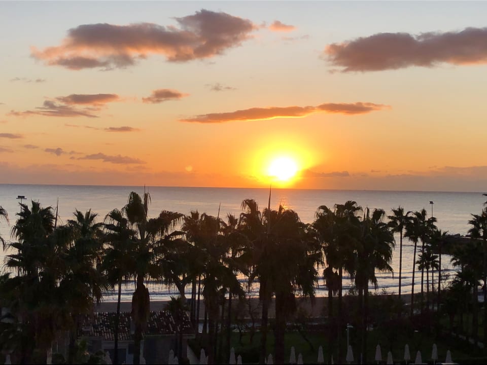 Ausblick Hipotels Mediterraneo