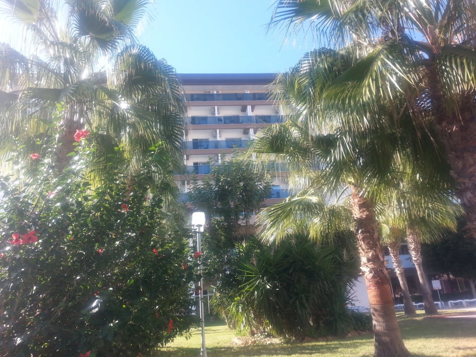 Blick von der Liege zum Zimmer Hotel Royal Garden Beach
