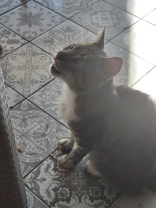 Außenansicht Sherwood Exclusive Lara