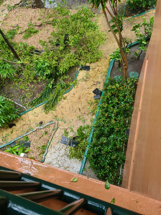 Ausblick whala!boca chica