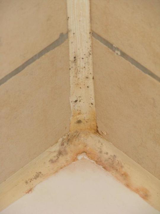 Schimmel im Bad Swisstouch Oriental Resort Marsa Alam