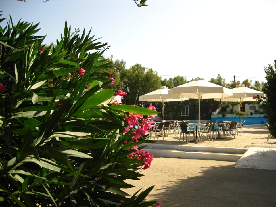 Poolbar The Grove Seaside Hotel