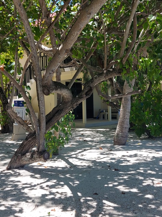 Gartenanlage Ellaidhoo Maldives by Cinnamon