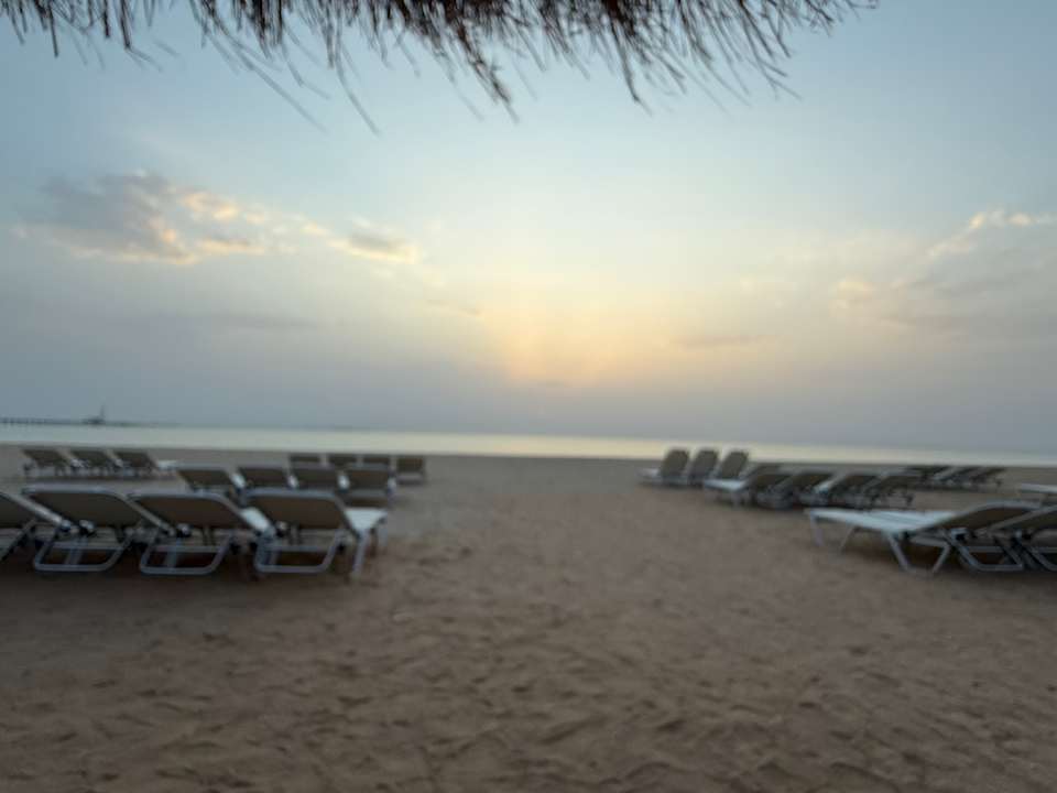 Strand JAZ Elite Asteria