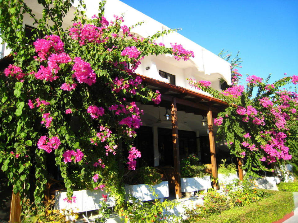 Hoteleingang Hotel Tina Flora