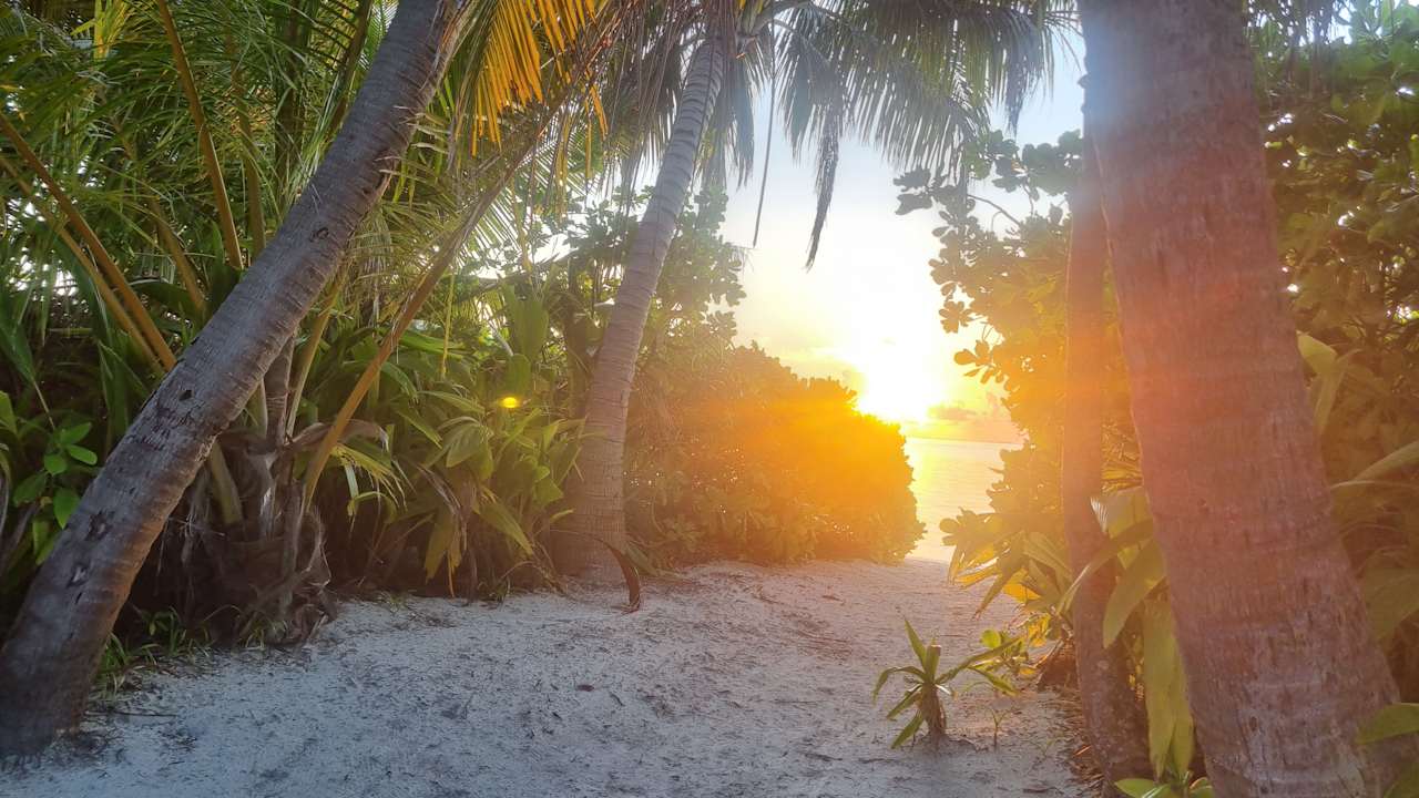 Außenansicht Canareef Resort Maldives