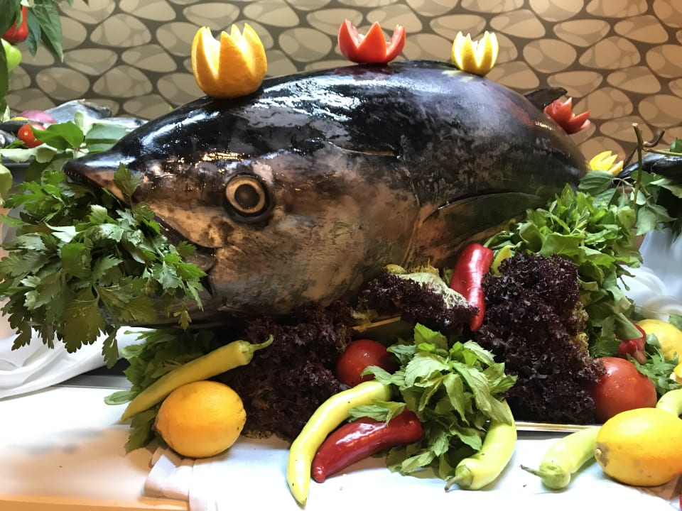 Gastro Arycanda Kirman Premium