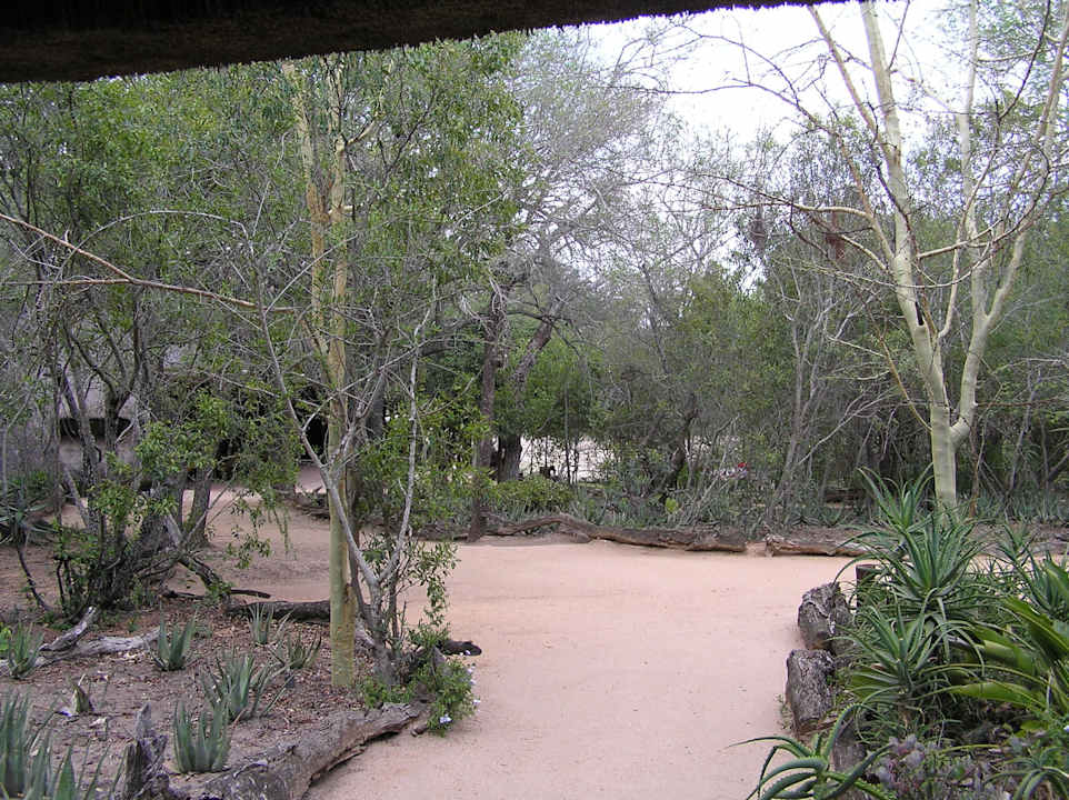 Garten Cheetah Plains Private Game Reserve