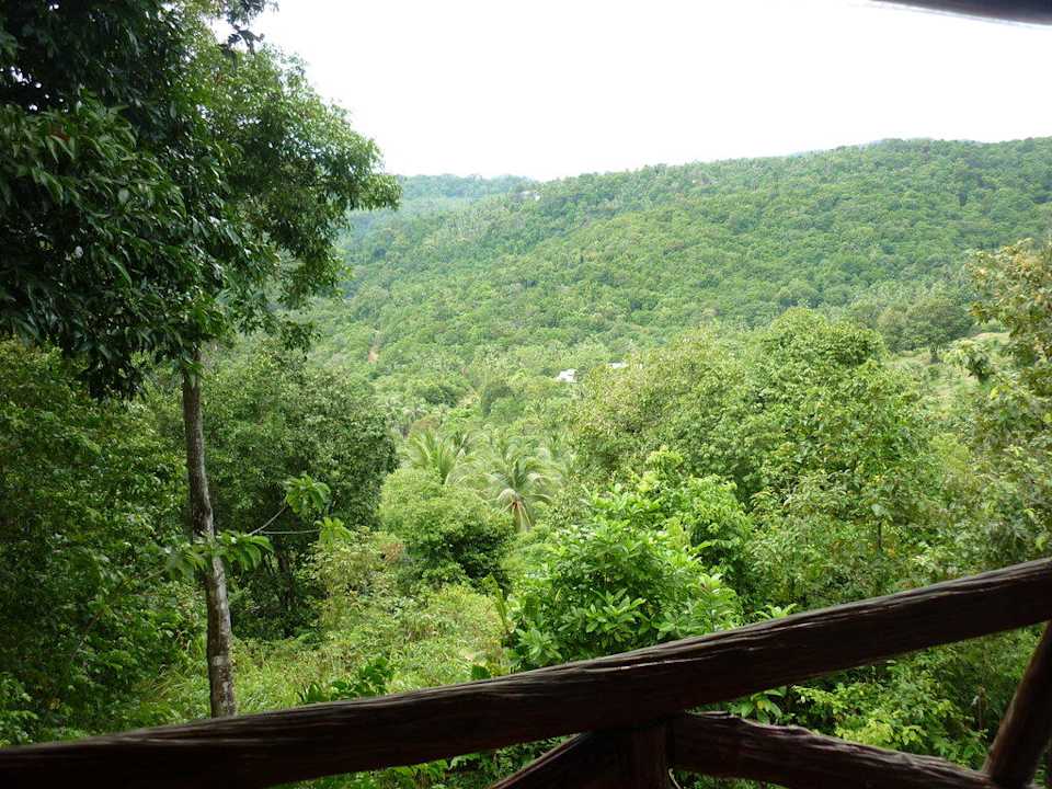 Dschungellandschaft Seaview Thansadet Bungalows