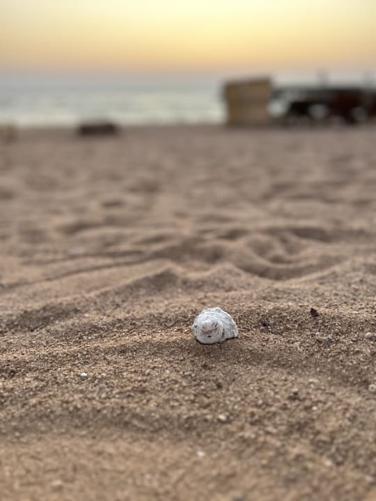 Strand Serenity Alpha Beach