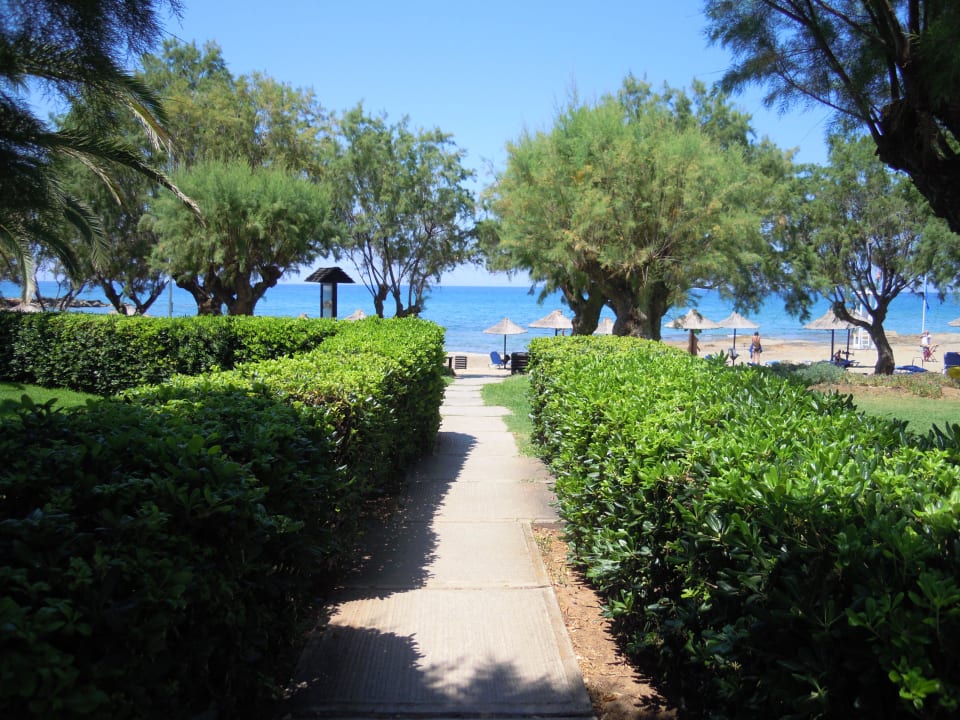 Weg zum Strand Phãea Cretan Malia