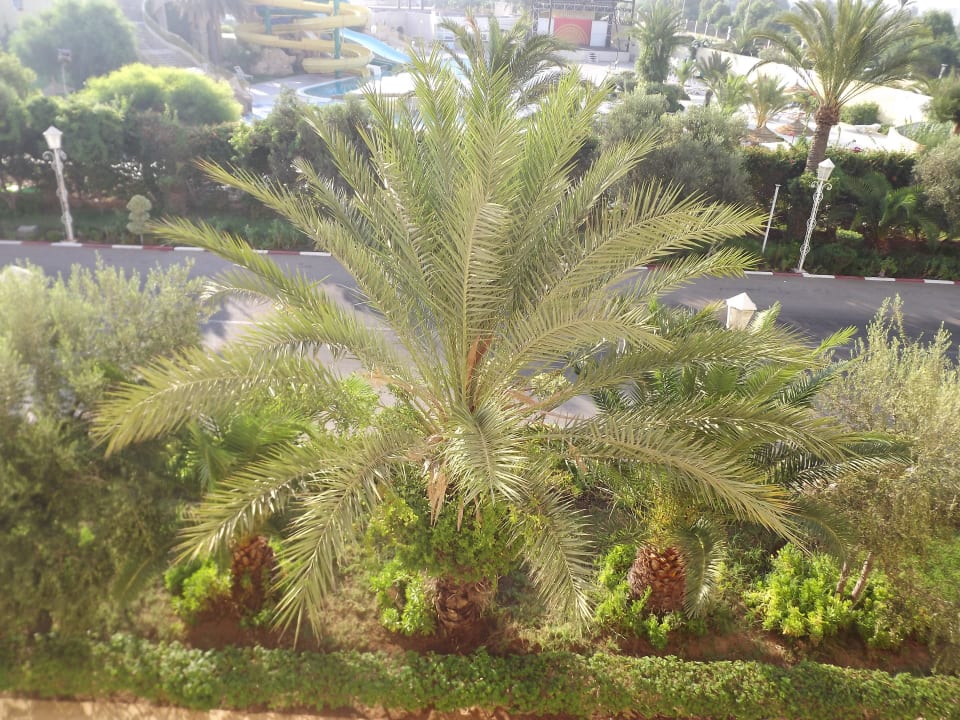 Blick vom Balkon Houda Golf & Beach Club