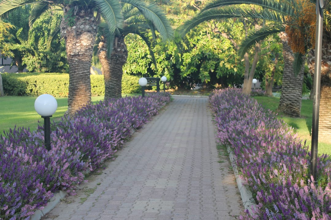 Gartenanlage Starlight Resort Hotel