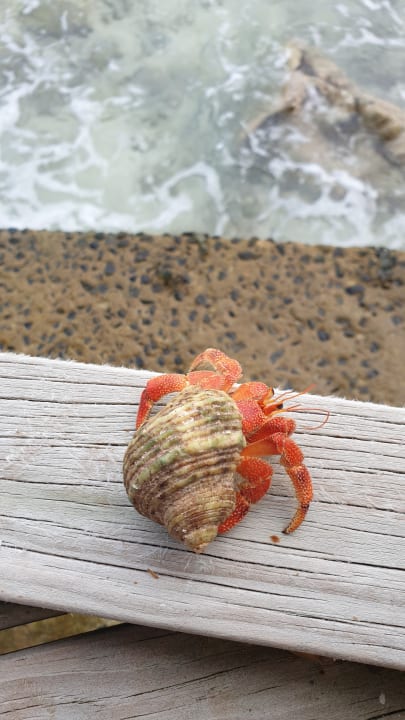 Strand Cinnamon Dhonveli Maldives