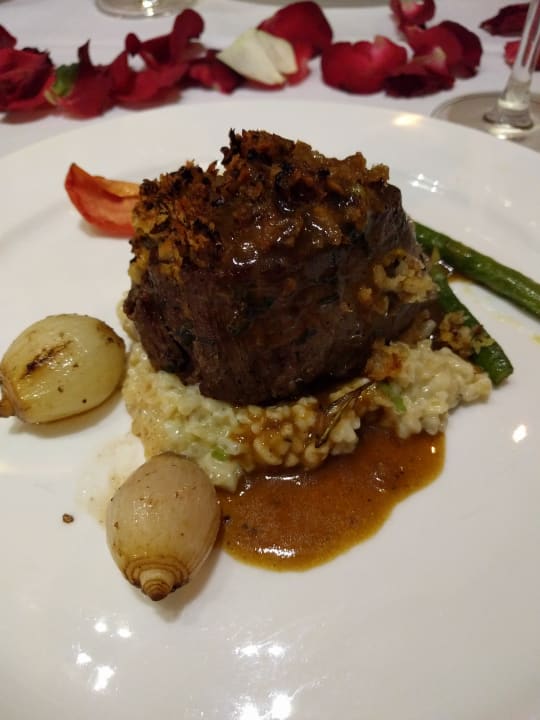 Gastro Acanthus Cennet Barut Collection