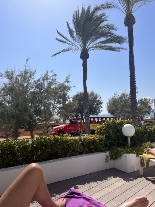 Ausblick HM Tropical