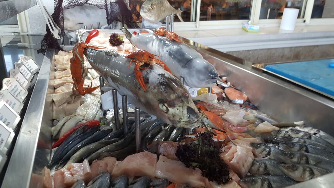 Gastro Hotel Delphin Diva