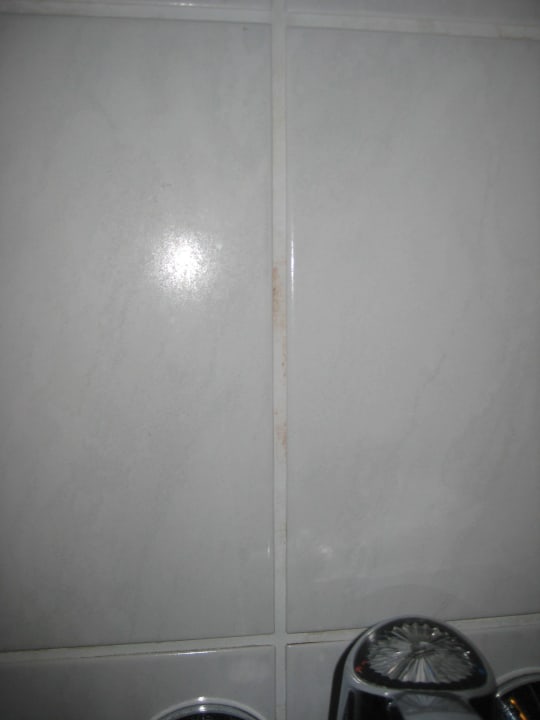 Fugenschimmel Romantica Hotel Blauer Hecht