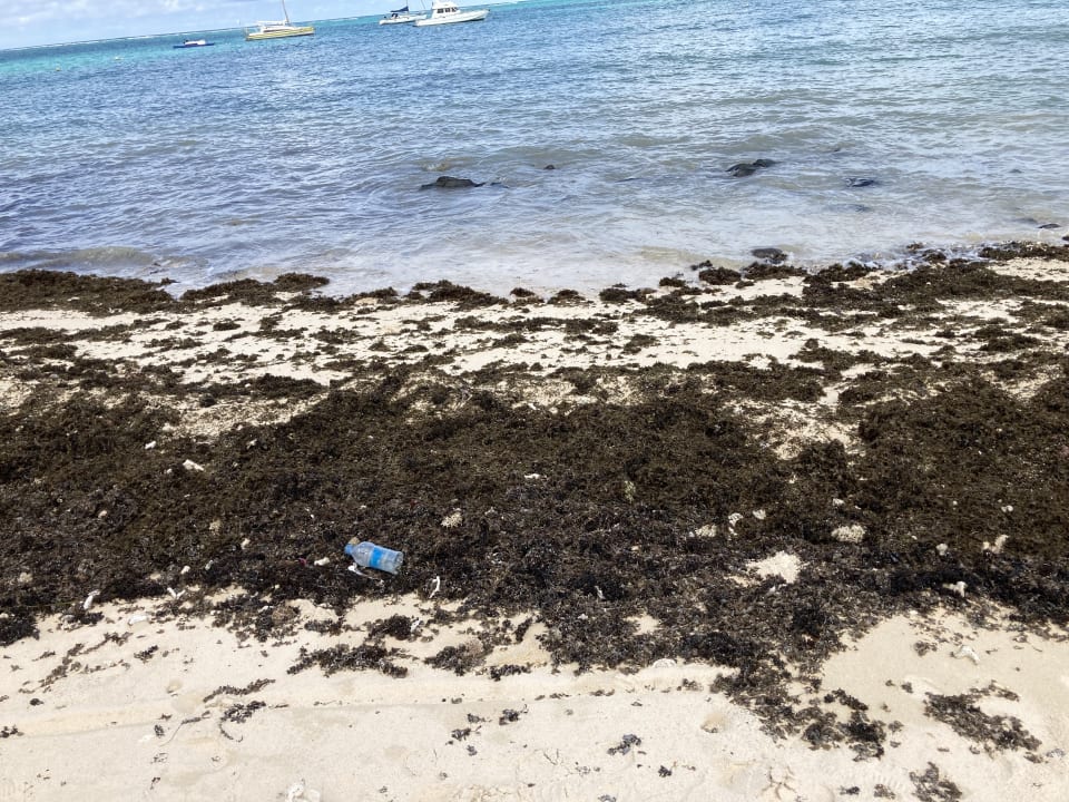 Strand Le Cerisier Apartments