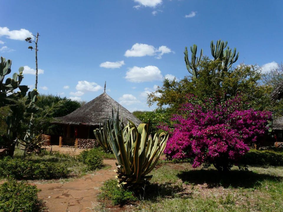 Domki w cudownym ogrodzie! Hotel Amboseli Sopa Lodge