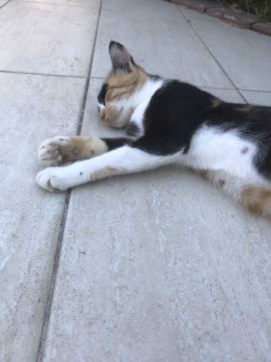 Sonstiges Bella Resort & Spa