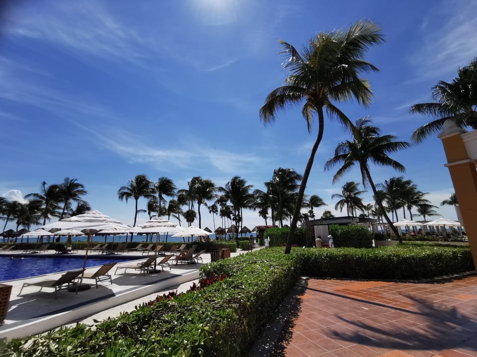 Pool Dreams Tulum Resort & Spa