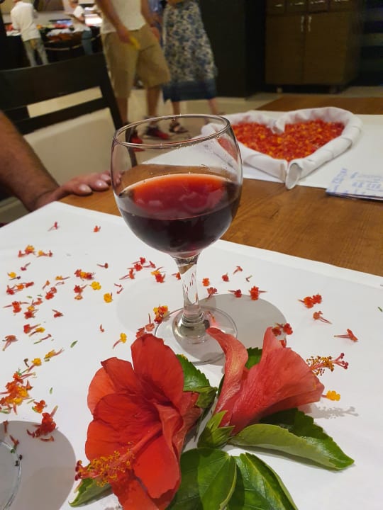 Gastro Turquoise Hotel