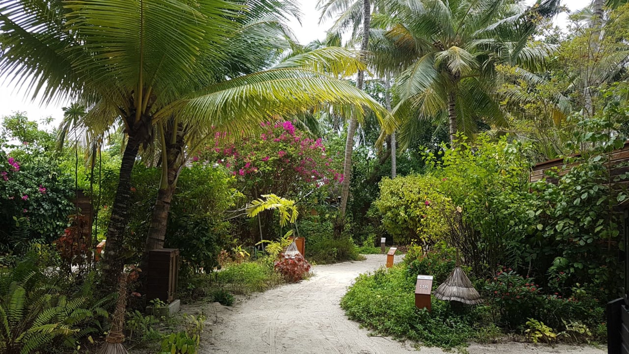 Gartenanlage Veligandu Maldives Resort Island