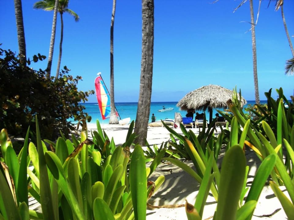 Blick auf den Strand Hotel Grand Palladium Palace Resort, Spa & Casino