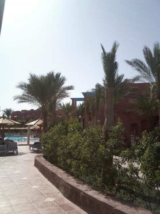 Lezaki TUI MAGIC LIFE Redsina Sharm El Sheikh
