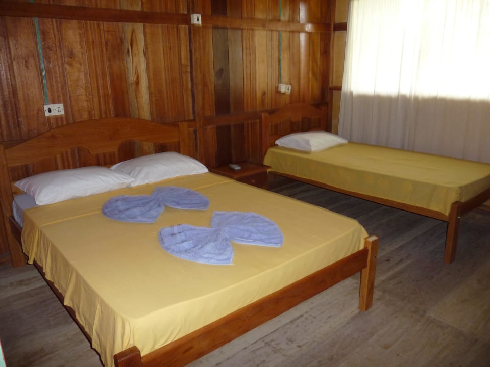 Zimmer Hotel Amazon Turtle Lodge