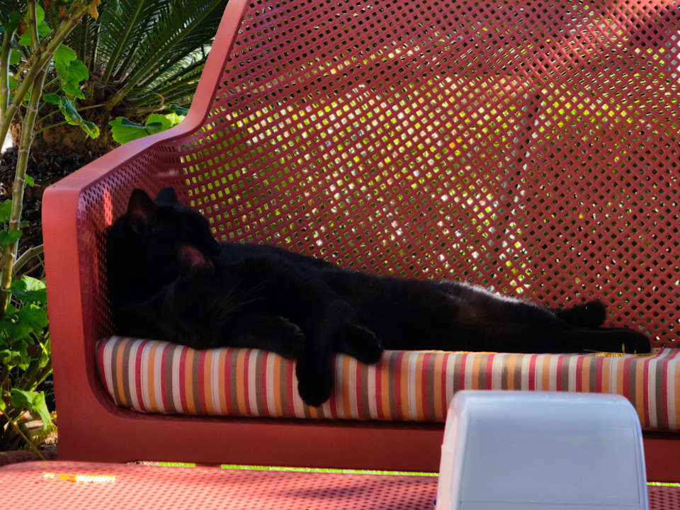 Sport & Freizeit Commodore Elite Suites & Spa - Adults only