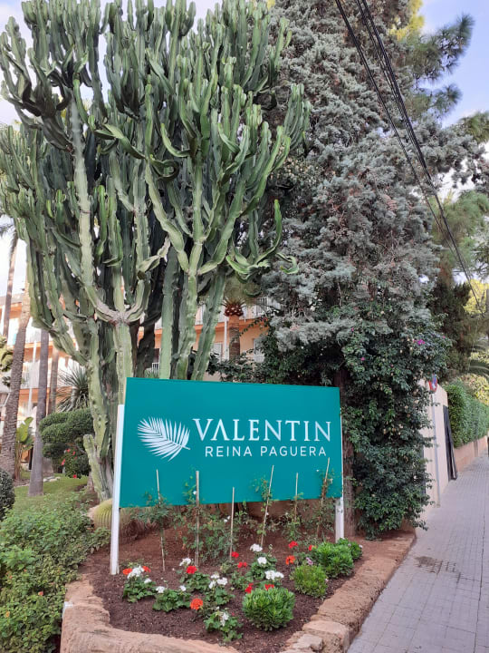 Sonstiges Valentin Reina Paguera