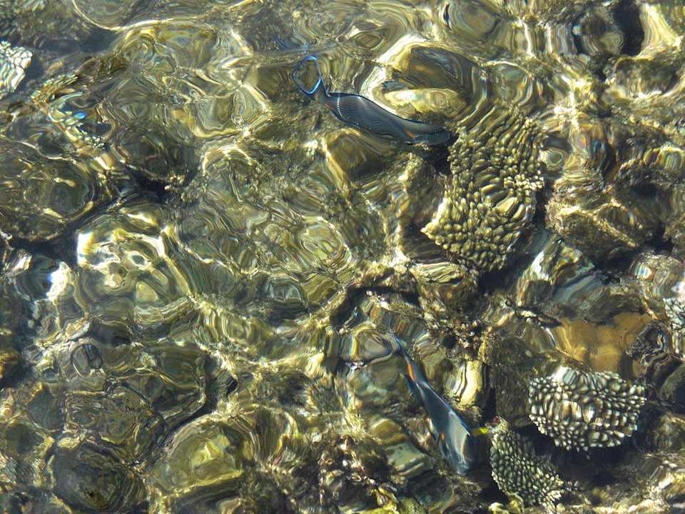 Riff The Grand Hotel Sharm El Sheikh