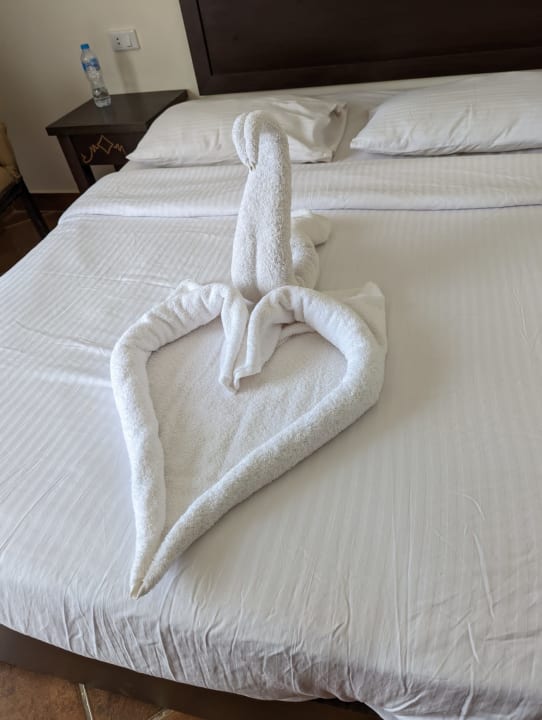 Zimmer Three Corners Sea Beach Resort