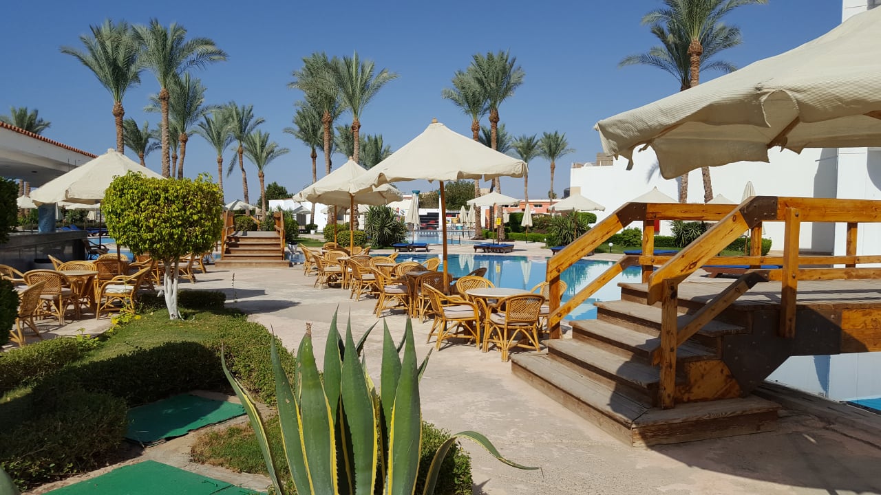 Pool Siva Sharm