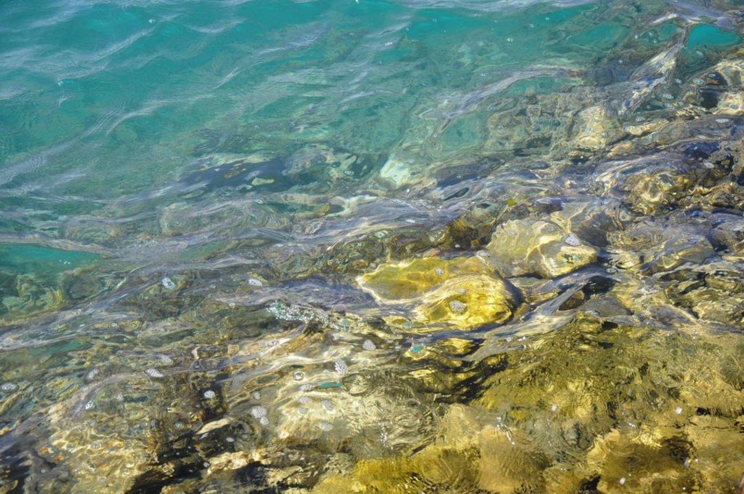 Вода у берега Continental Hotel Hurghada