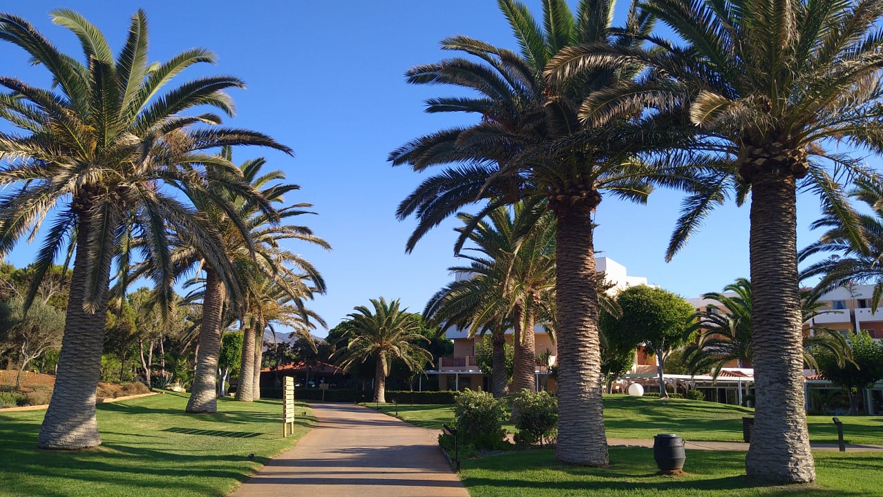 Gartenanlage Anissa Beach & Village