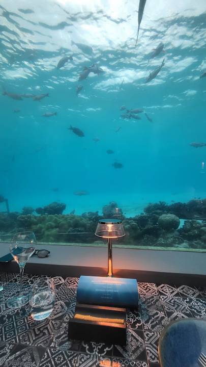Gastro You & Me Maldives - Adults Only - Premium All-Inclusive