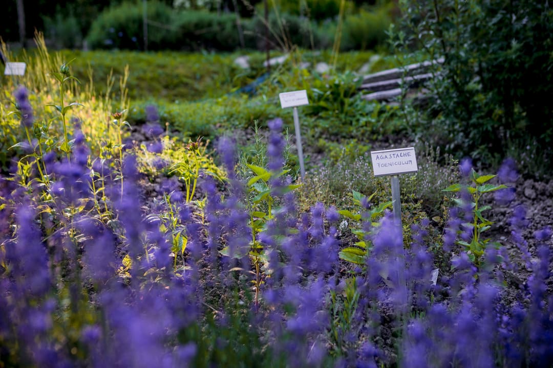 Gartenanlage Hotel Schloss Wartegg