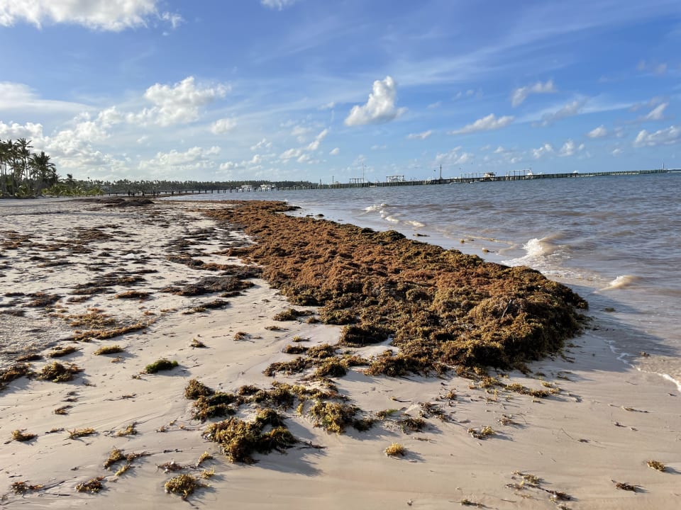 Strand Serenade Punta Cana Beach & Spa resort