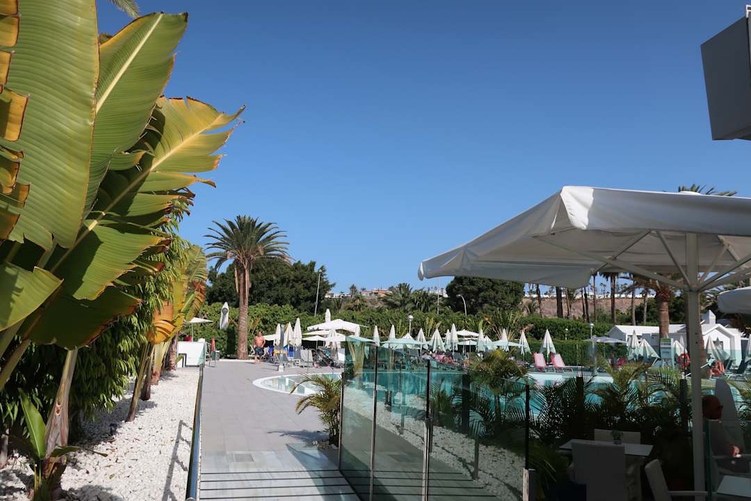 Pool Canary Garden Club