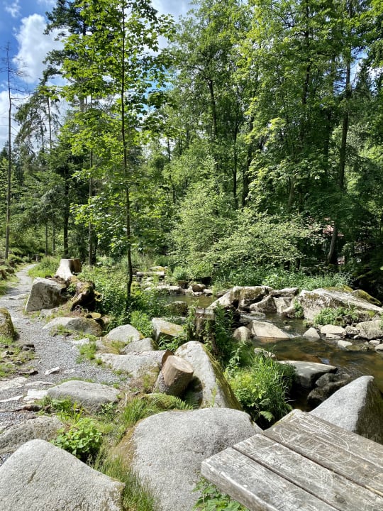Sport & Freizeit Frongahof Eckerl Böhmzwiesel