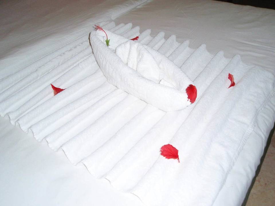 Künstler Ghazala Gardens