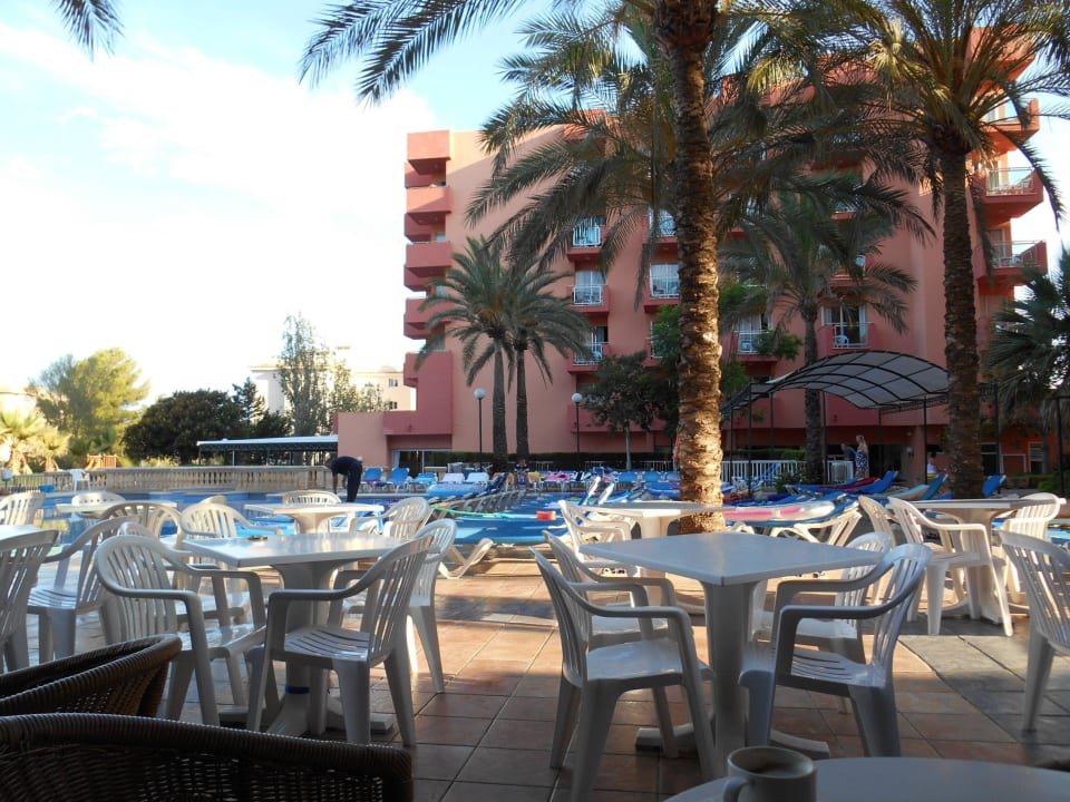 Bar- und Poolbereich am Morgen Globales Maioris