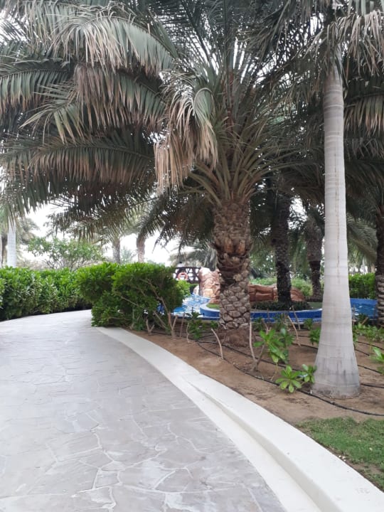 Gartenanlage Dukes The Palm Dubai Hotel
