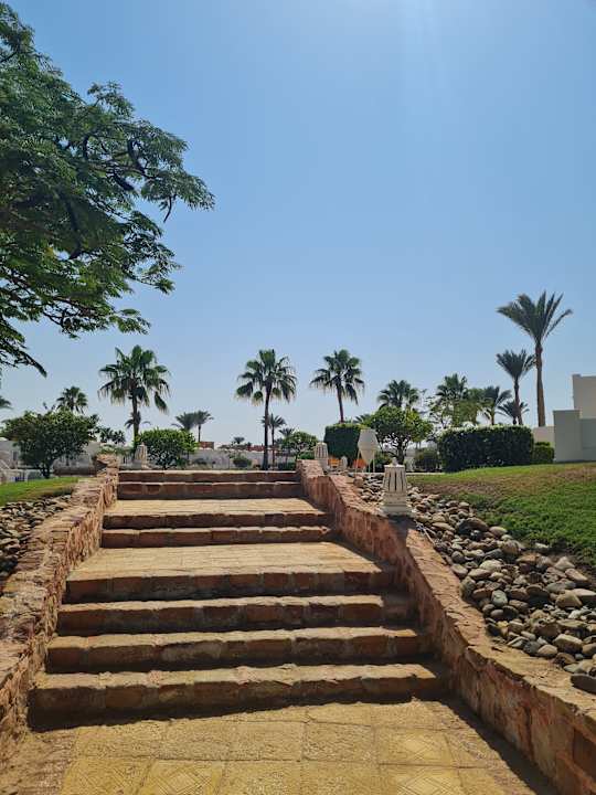 Gartenanlage JAZ Neo Reef Marsa