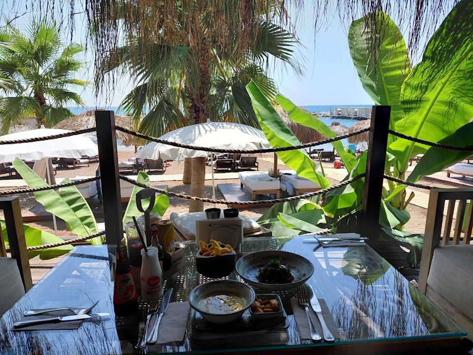 Gastro Rubi Platinum Sign