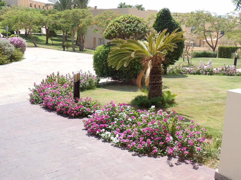 Gartenanlage Cleopatra Luxury Beach Resort Makadi Bay - Adults only