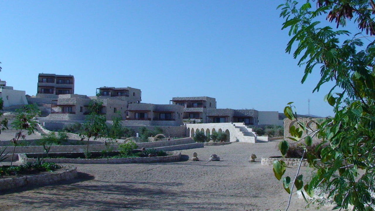 Neue Bungalows The Oasis Dive Resort